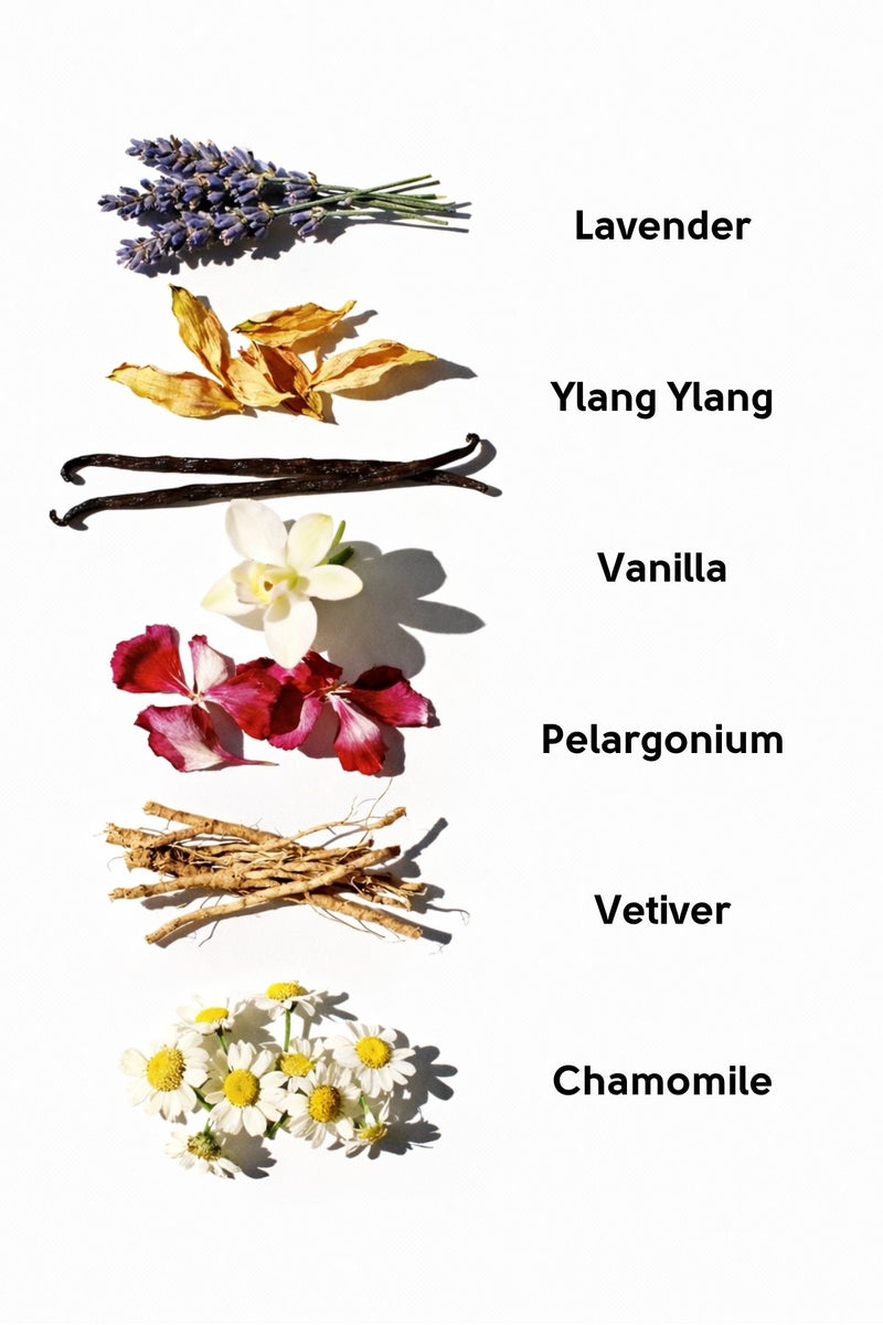NEVALORA ROLL-ON DREAM CATCHER / DERİN UYKU DESTEKLEYİCİ AROMATERAPİ KOKUSU – 10 ML